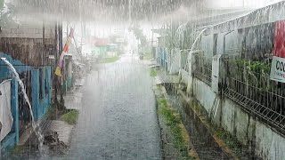 Heavy rain in my village is very cold suitable  accompany more comfortable sleep with the sound rain by village rain vlog 4,098 views 2 weeks ago 2 hours, 59 minutes