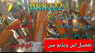 Information about DK8222||Dekalb New hybrid 8222