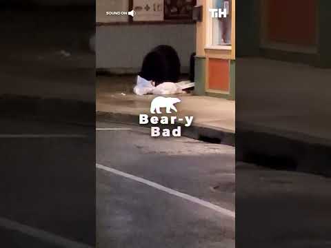 Scared Man Hides as He Witnesses Wild Bear Eating Garbage