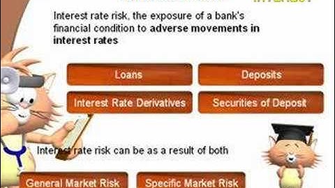 Banking Risks