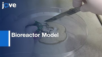 Recombinant Collagen I Peptide Microcarriers: Cell Expansion-Cell Delivery System l Protocol Preview