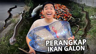 PASANG PERANGKAP GALON DI SELOKAN JACKPOT! DAPET BANYAK BANGET IKAN!