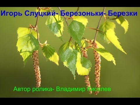 Бейне: Слуцкий Игорь Николаевич: өмірбаяны, мансабы, жеке өмірі