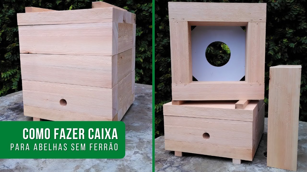 Como eu faço CAIXA PARA ABELHAS SEM FERRÃO