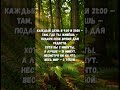 🌍 9:00 и 21:00 — Момент радости для всего мира | Ежедневный ритуал