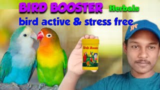 Bird booster.bird सुस्त,ठान्ड लागा,तानाव मे हे तो दिजिय़े bird booster। bird active and stress free