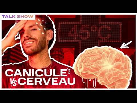 I read 23 studies on heatwaves and the brain (it's terrifying)