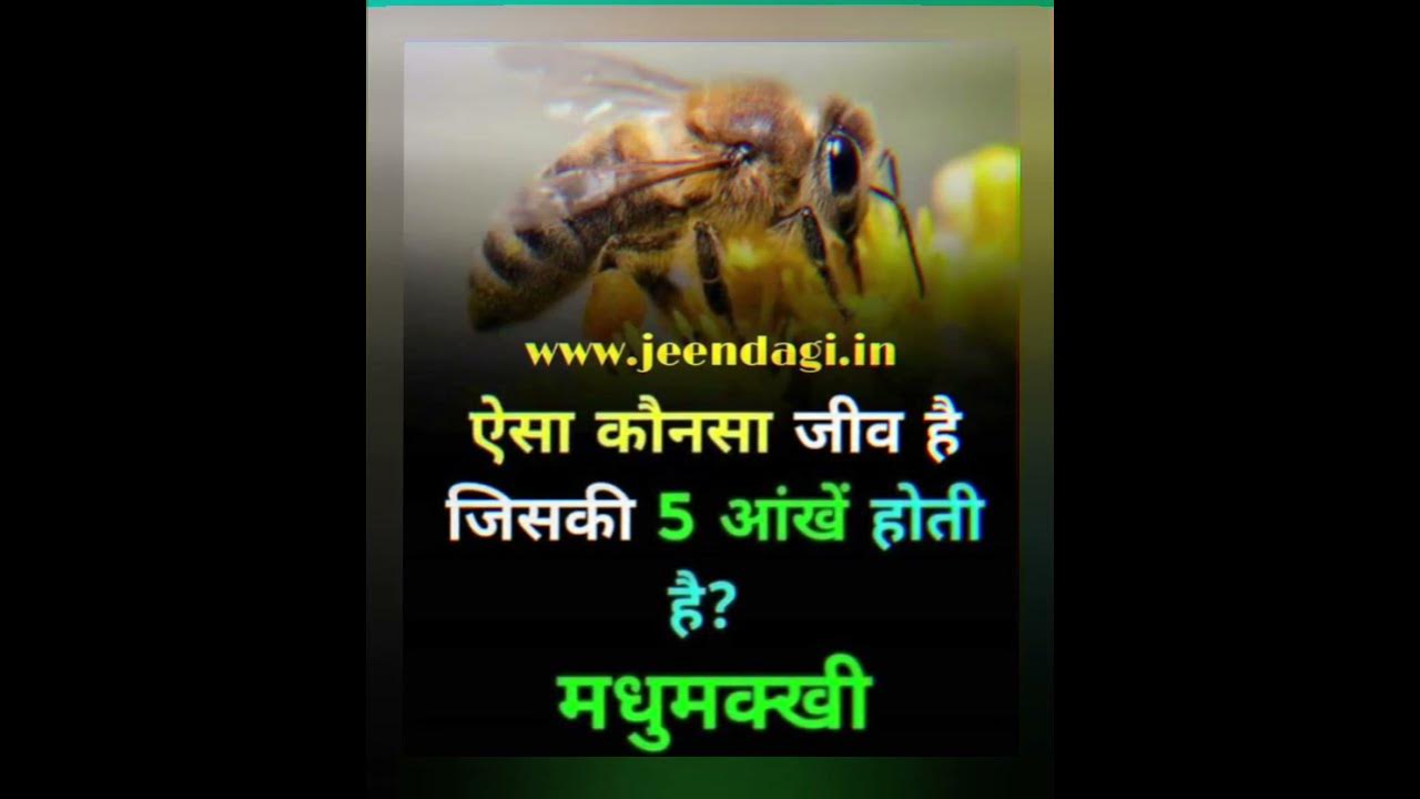 Aisa Kaun Sa Jeev Hai Jiski Panch Ankhen Hain Short Video Makkhi Full s-s-rajamouli-s-makkhi-eaga-new-hindi-dubbed-movie-nani-samantha