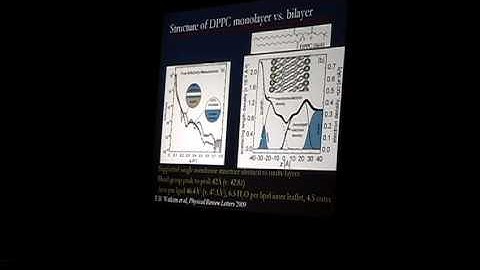Emergent Structures in Models of Biological Membranes