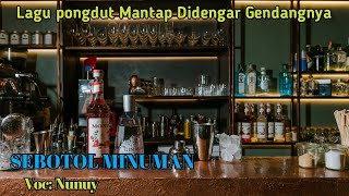 🔴Sebotol Minuman- Nunuy || Lirik Lagu dangdut bajidor paling joss