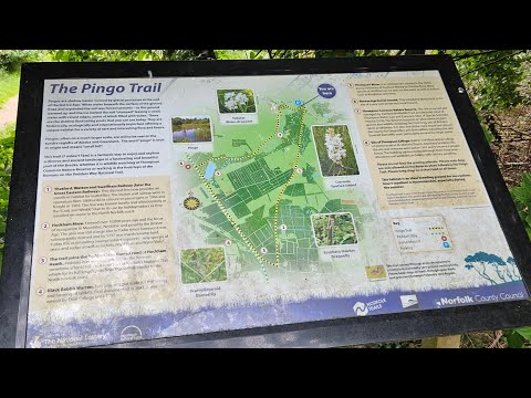 Komoot - Pingo Trail, Thetford Forest, Norfolk