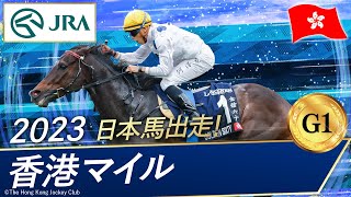 2023年 香港マイル（G1） | ゴールデンシックスティ | JRA公式