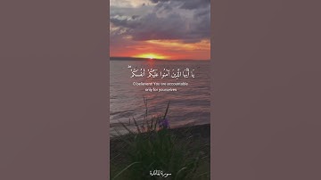 يا أيها الذين آمنوا عليكم أنفسكم لا يضركم من ضل إذا اهتديتم (١٠٥) سورة المائدة / القارئ ياسر الدوسري
