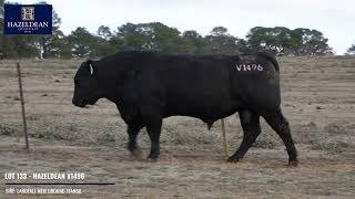 LOT 133   HAZELDEAN V1496