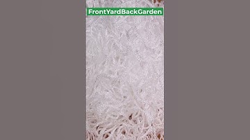 Gardening Trellis Netting Heavy Duty Plant Support Stand Flowers🌱🌱🌱