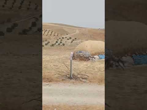 مناظر ساحرة ذات مناخ شبه قاحل شرق المملكة المغربية
