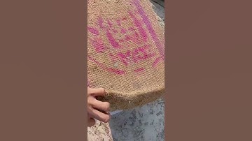 Honey harvest in february month #shorts #honey #honeycomb