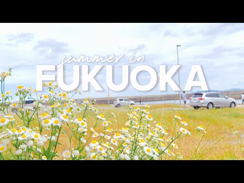 ✨Summer in Fukuoka + Kyushu | Cat Island, Shrines, Mount Aso, Takachiho Gorge 🇯🇵🌿