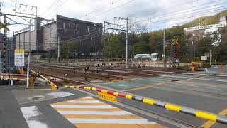 特急こうのとり踏切　カンカン　Railroad crossing sound　JR京都線　山崎　サントリーカーブ　複複線　2021/1/11