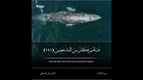 "ما تيسر من سورة الصافات"القارئ ماهر المعيقلي