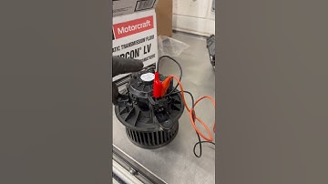 How to check if your blower motor needs to be changed! #shorts #mechanic #repair #ford