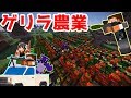 【マインクラフト】ゲリラ農業 クマとわたしと時々ゲリラpart1【ゆっくり実況】