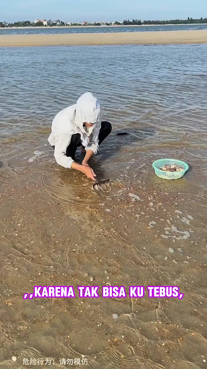 CARI KERANG UNTUK BEROBAT MAMA YANG SAKIT #viralvideo #shorts #viralvideo #trending #youtubeshorts