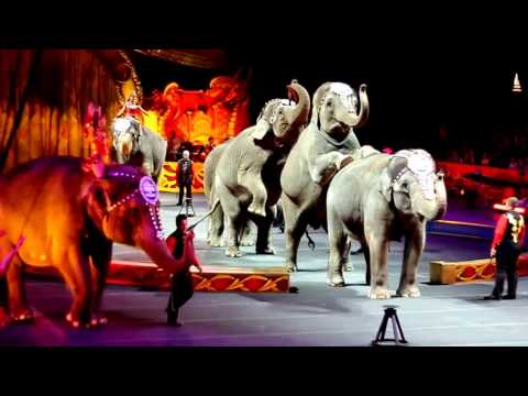 Video: What Is The Largest Circus In The World