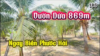 Vườn Dừa Siêu Đẹp Gần Biển Thích Hợp Anh Chị Xây Nhà Vườn Nghỉ Dưỡng Giá 2,65Tỷ #huyendatdo #nhavuon