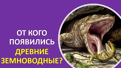 24. От кого появились древние земноводные?