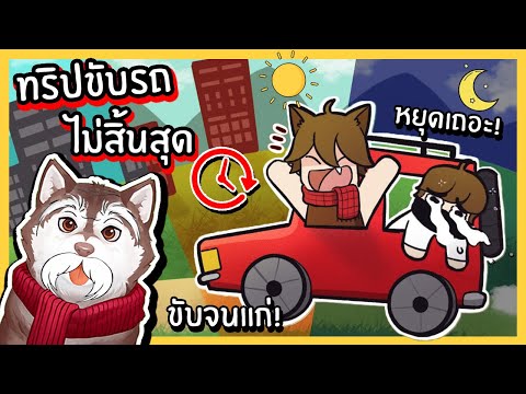 วีดีโอ: Road Trip for Good: สุนัขเดินทาง 2 คนกำลังกลับมาบนถนน!