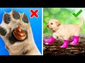 WHAT A SMART DOG! | Adorable Pet Gadgets And Hacks For Pet Owners