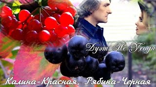 655. Дуэт Не Уходи - Калина Красная, Рябина Черная. Новинки Шансона.