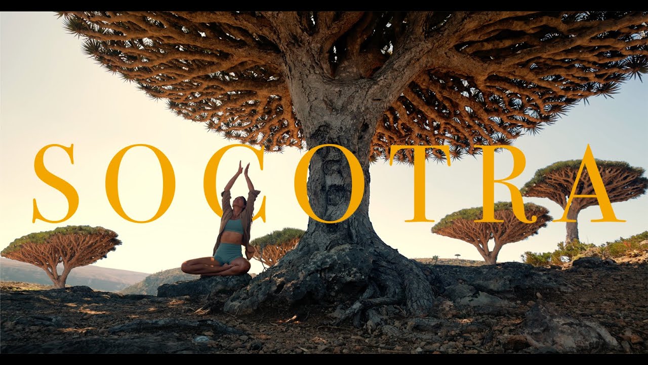 Socotra Island Yemen   Step Into Another World  4K Cinematic