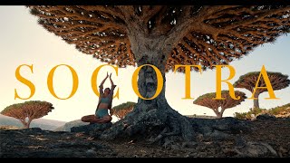 Socotra Island, Yemen  Step Into Another World | 4K Cinematic