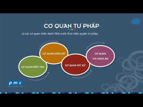 Video: Các công việc trong ngành tư pháp là gì?