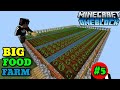 THE BIG FOOD FARM IN MY MINECRAFT ONEBLOCK WORLD.