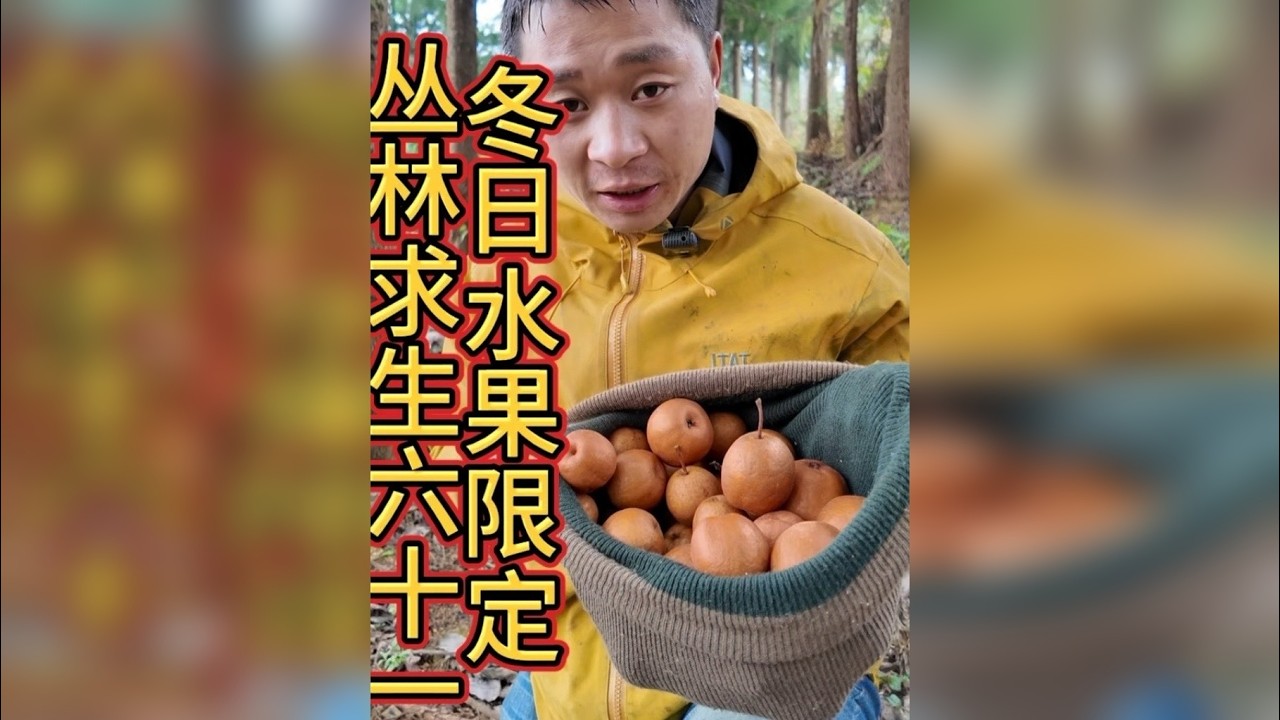 丛林求生六十一 人体所需营养是均衡的，水果也必不可少，棠梨和拐枣除了糖分也富含各种维生素！