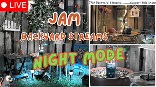 REPLAY 7/19/26 Relaxation Stream | Percy Watch | Gainesville, FL #opossum #backyardcam #nightstream