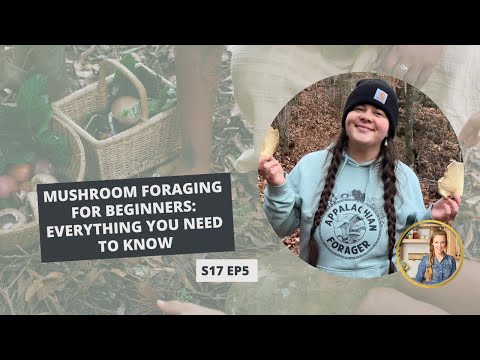S17: E5: Mushroom Foraging for Beginners: Everything You Need to Know