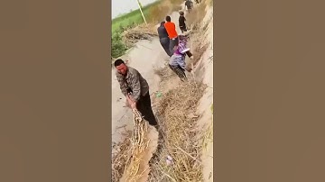 Teamwork Cleaning Canal Weeds—See How Practical These Tools and Methods Are!
