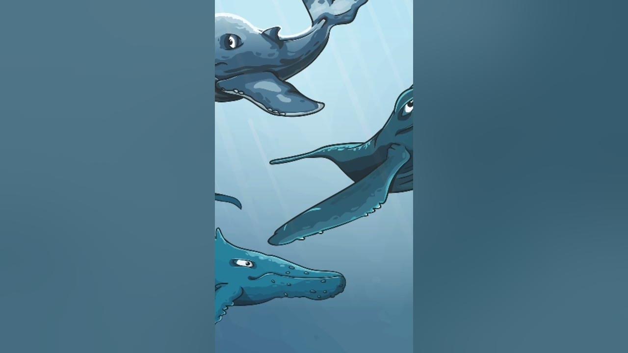 you can hear a blue whale heartbeat from two miles away #shorts #