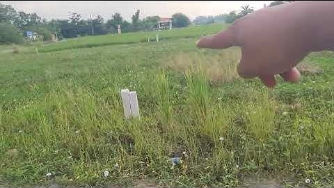 Bán 3 lô đất thổ cư mới ra lò ấp 5 xã phước tuy cần đước long