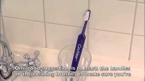 Baha - Cleaning the Brush