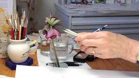 Spotlight Feature on Janet Waterhouse