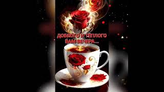 Добрый вечер ♥️ Тихой мирной ночи ❤️ Сладких снов ♥️@#