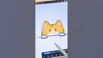 create an animation of a cat #shorts #procreate #animationmaker