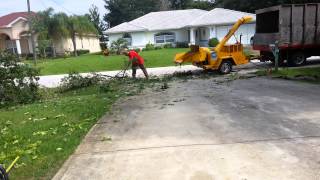 1974 Wayne wood chipper palm coast fl.