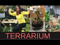 Comment faire soimme son terrarium  terrarium