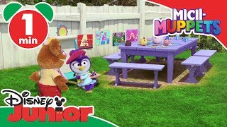 Micii-Muppets Disney Junior România Descrierea Lui Summer